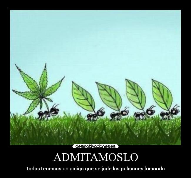 ADMITAMOSLO - todos tenemos un amigo que se jode los pulmones fumando