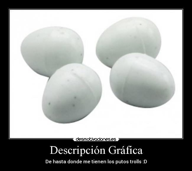 Descripción Gráfica -