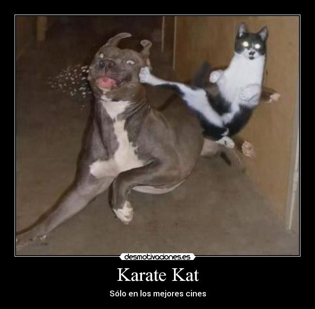 carteles karate-kat desmotivaciones