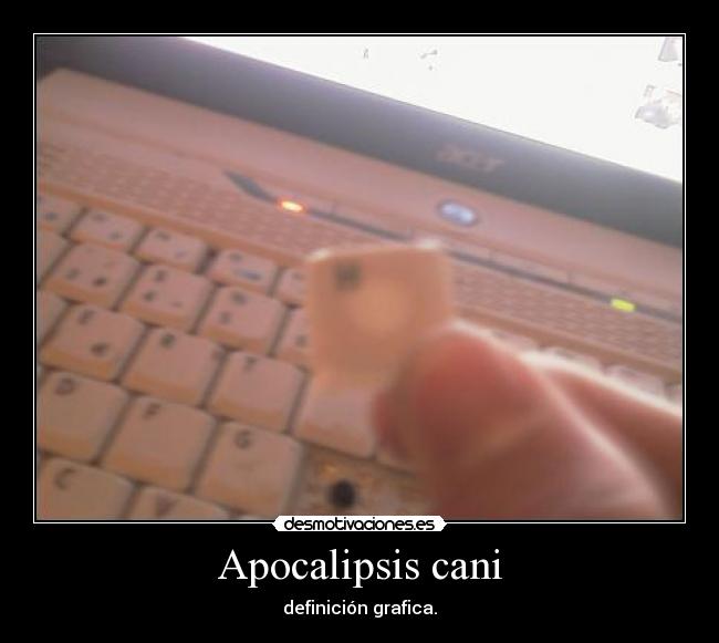 Apocalipsis cani -