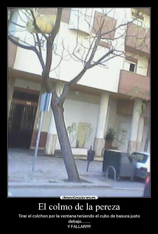 carteles sin comentarios desmotivaciones