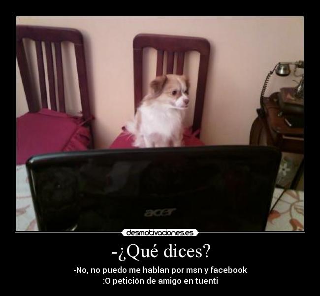 -¿Qué dices? - -No, no puedo me hablan por msn y facebook
:O petición de amigo en tuenti