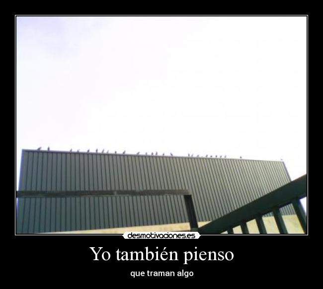 Yo también pienso -