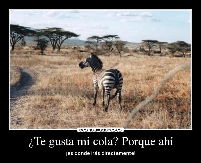 carteles humor desmotivaciones