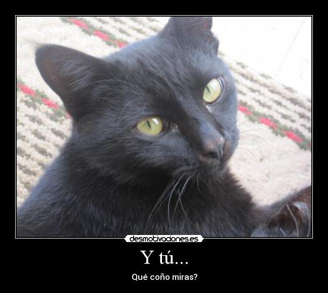 Y tú... - Qué coño miras?