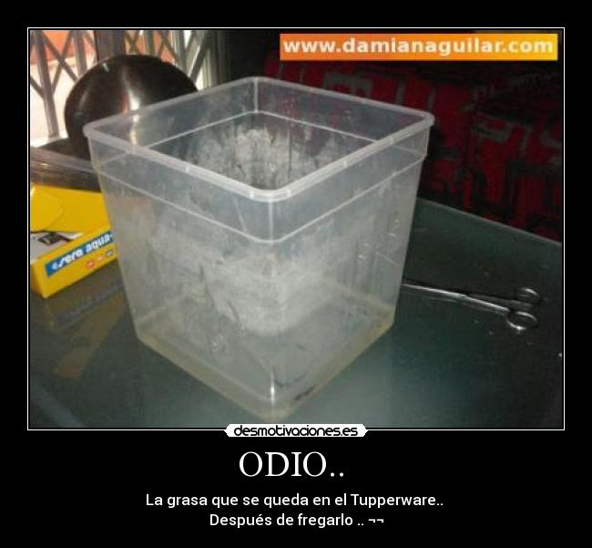 ODIO..  - La grasa que se queda en el Tupperware.. 
Después de fregarlo .. ¬¬