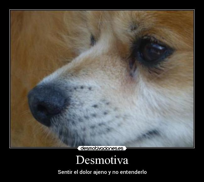 Desmotiva - 