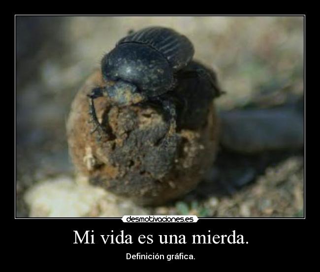 Mi vida es una mierda. - Definición gráfica.