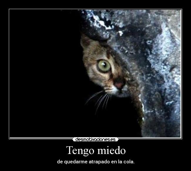 Tengo miedo -
