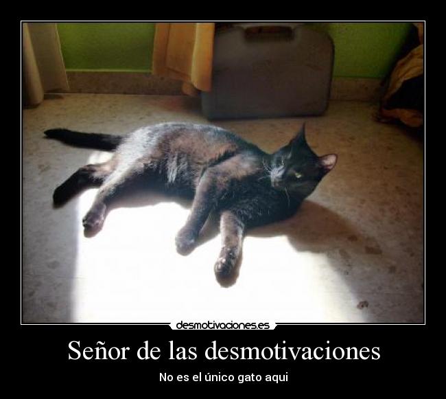 Señor de las desmotivaciones -