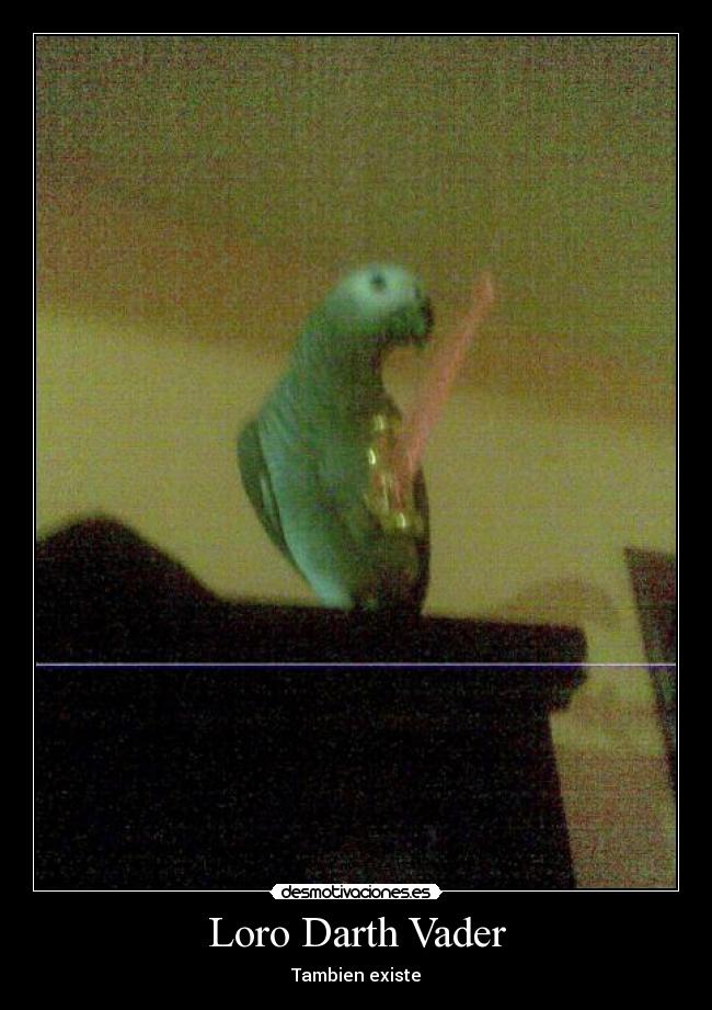 carteles darth vader desmotivaciones