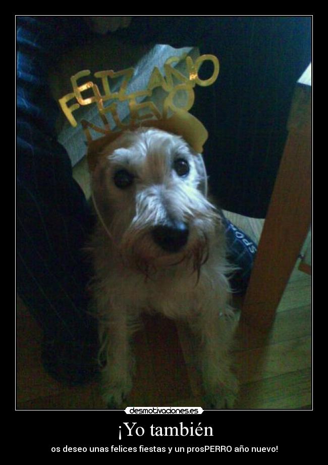 ¡Yo también - os deseo unas felices fiestas y un prosPERRO año nuevo!