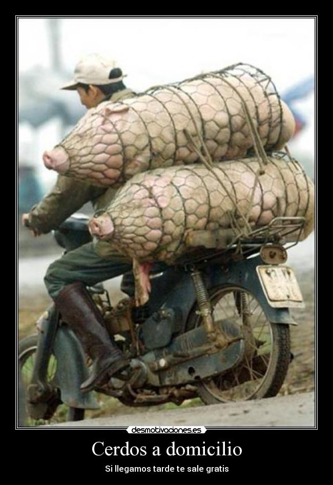 carteles jajajaa desmotivaciones