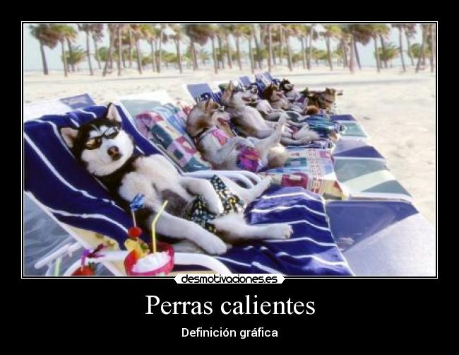 Perras calientes - 