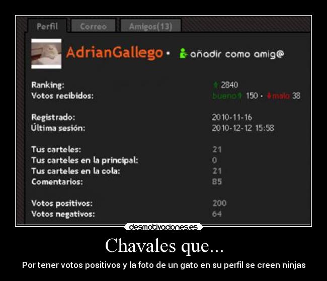 Chavales que... - Por tener votos positivos y la foto de un gato en su perfil se creen ninjas