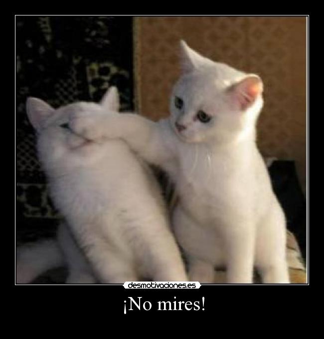 ¡No mires! - 