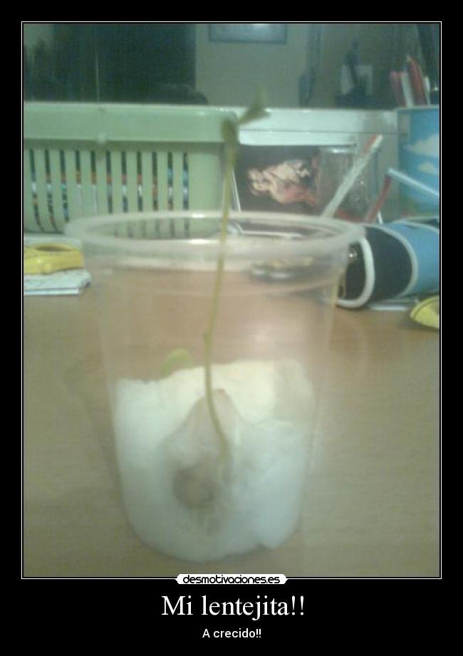Mi lentejita!! -