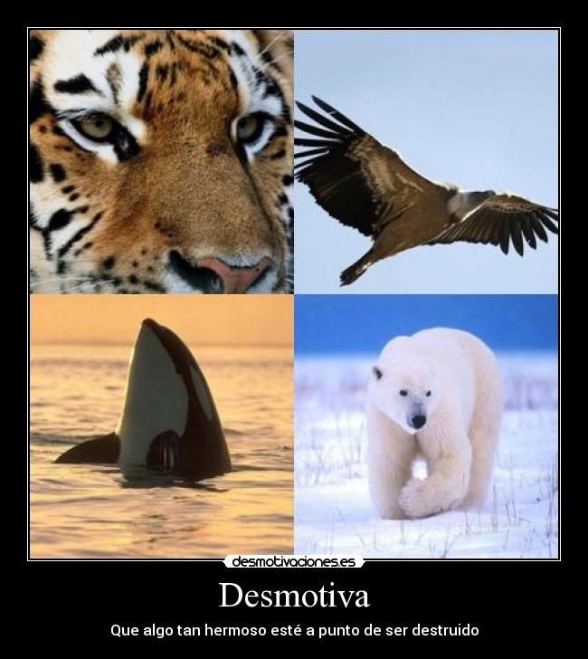 Desmotiva - 