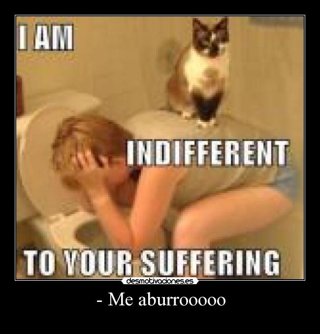 - Me aburrooooo - 