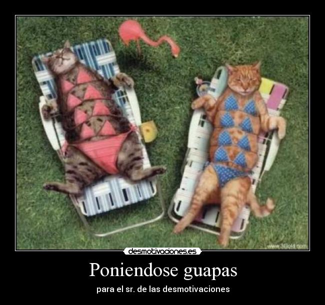 Poniendose guapas -