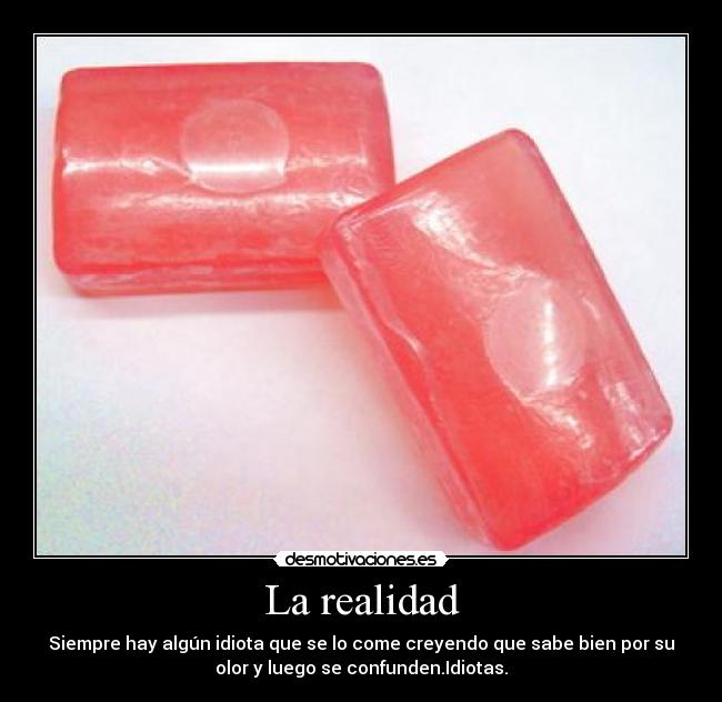 La realidad - 