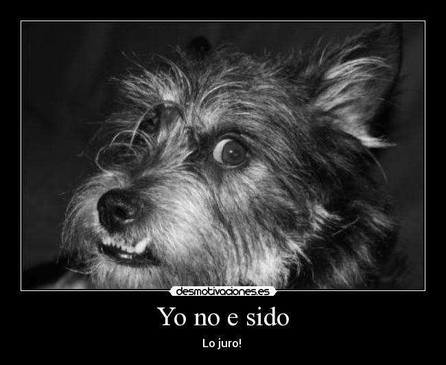 Yo no e sido - Lo juro! 