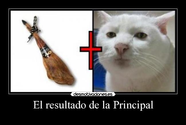 carteles  desmotivaciones