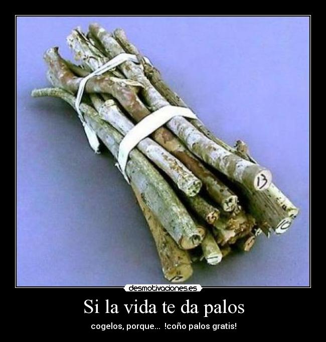 Si la vida te da palos - cogelos, porque... !coño palos gratis!