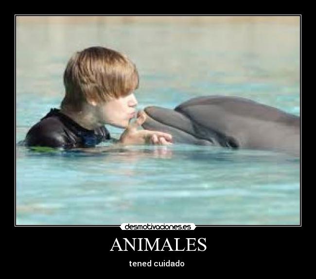 ANIMALES -