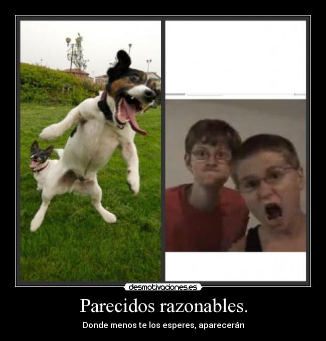 Parecidos razonables. -