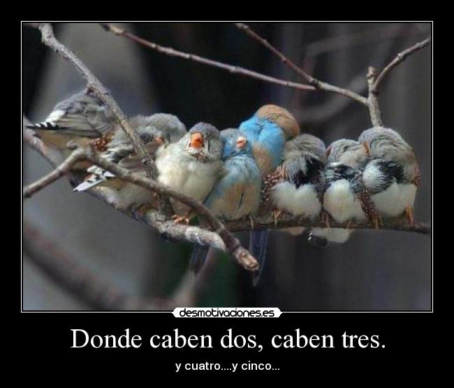 Donde caben dos, caben tres. - y cuatro....y cinco...