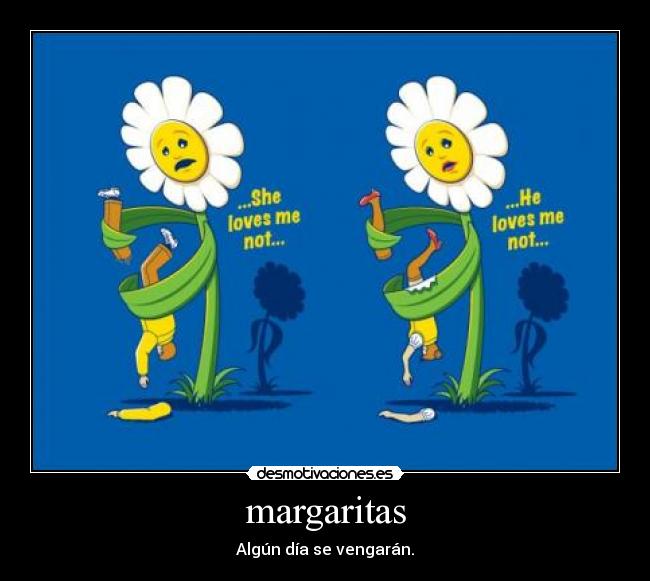 margaritas -