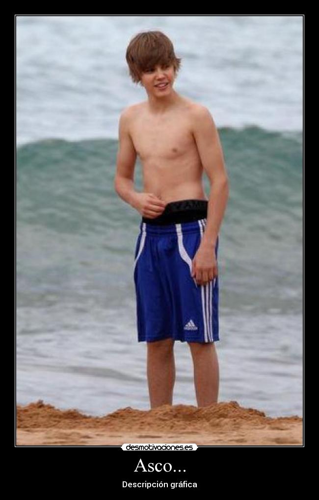 Asco... - Descripción gráfica