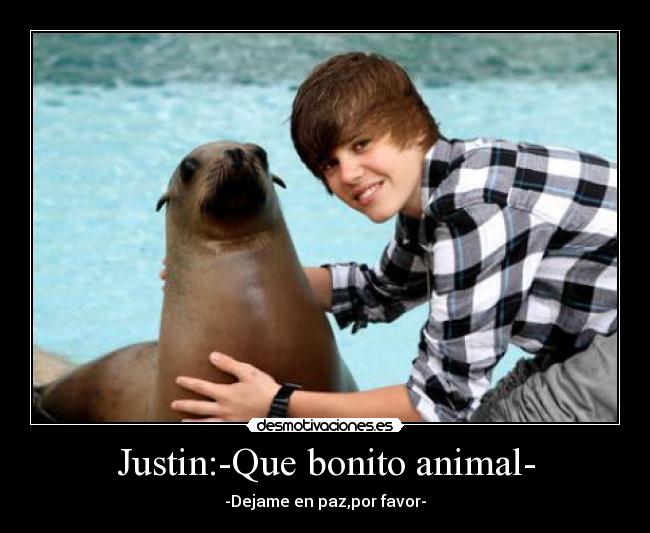Justin:-Que bonito animal- -