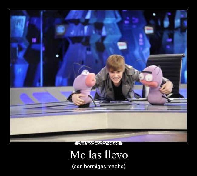 Me las llevo - (son hormigas macho)