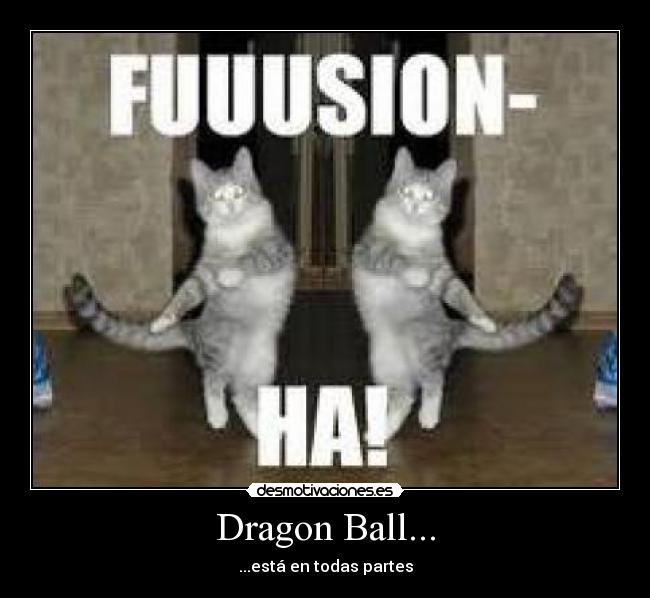 Dragon Ball... - ...está en todas partes
