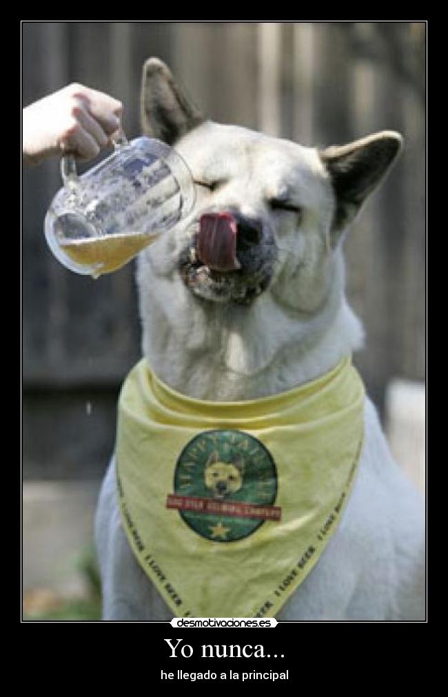 Yo nunca... -