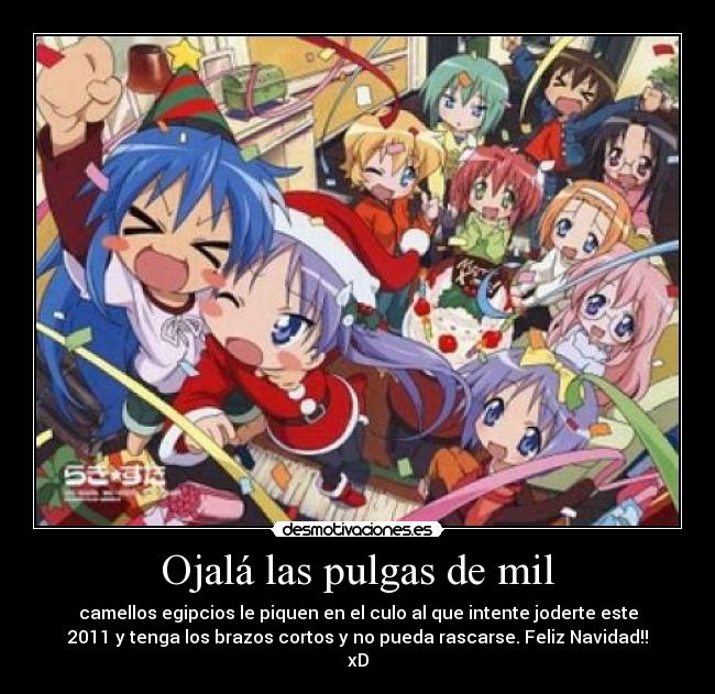 Ojalá las pulgas de mil - camellos egipcios le piquen en el culo al que intente joderte este
2011 y tenga los brazos cortos y no pueda rascarse. Feliz Navidad!!
xD