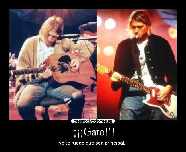 ¡¡¡Gato!!! - yo te ruego que sea principal...