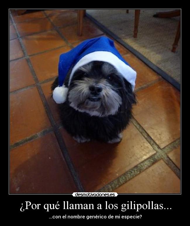 ¿Por qué llaman a los gilipollas... - 