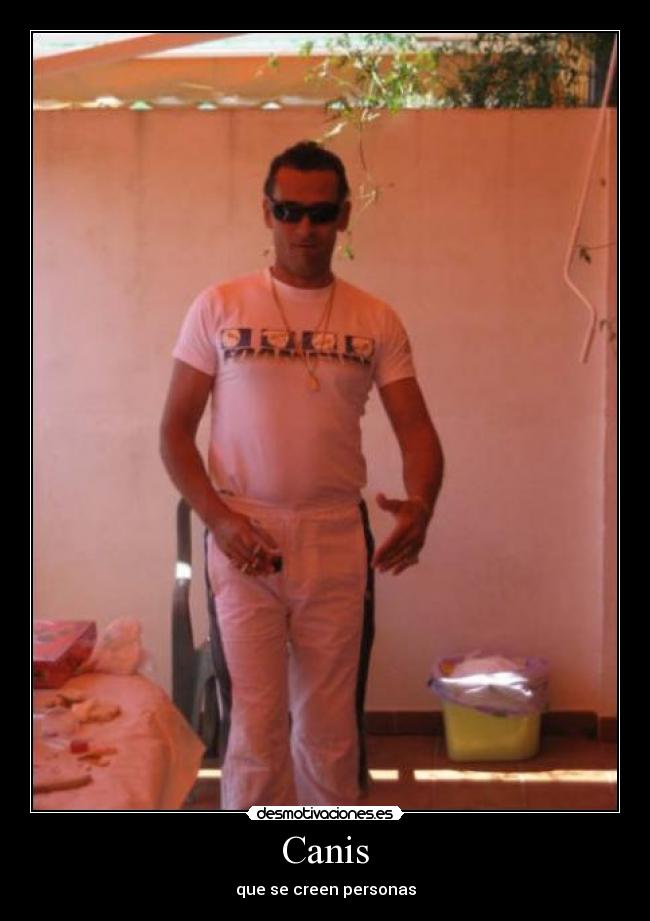 Canis - que se creen personas