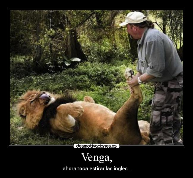 Venga, - ahora toca estirar las ingles...