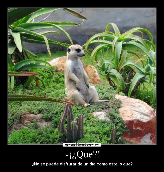 -¡¿Que?! - ¿No se puede disfrutar de un día como este, o que?
