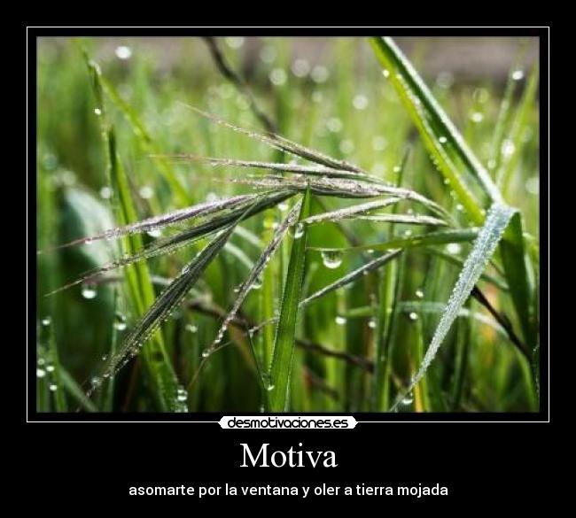 Motiva - 