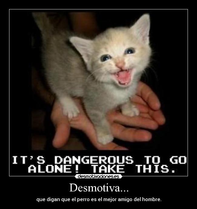 Desmotiva... - que digan que el perro es el mejor amigo del hombre.