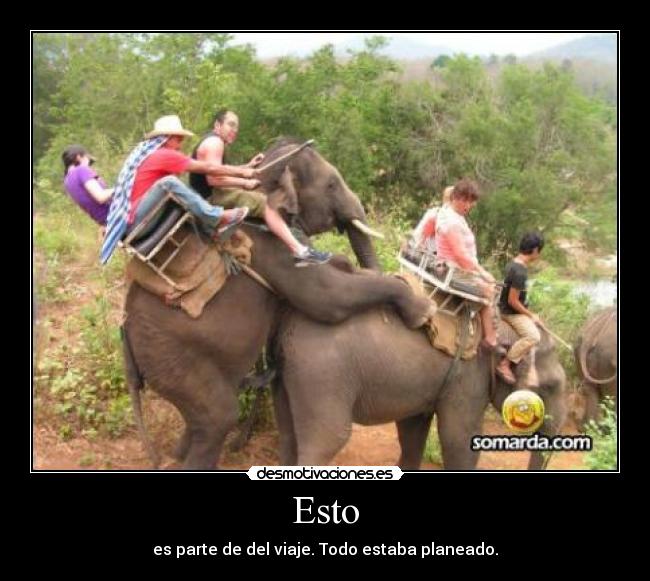 Esto - es parte de del viaje. Todo estaba planeado.