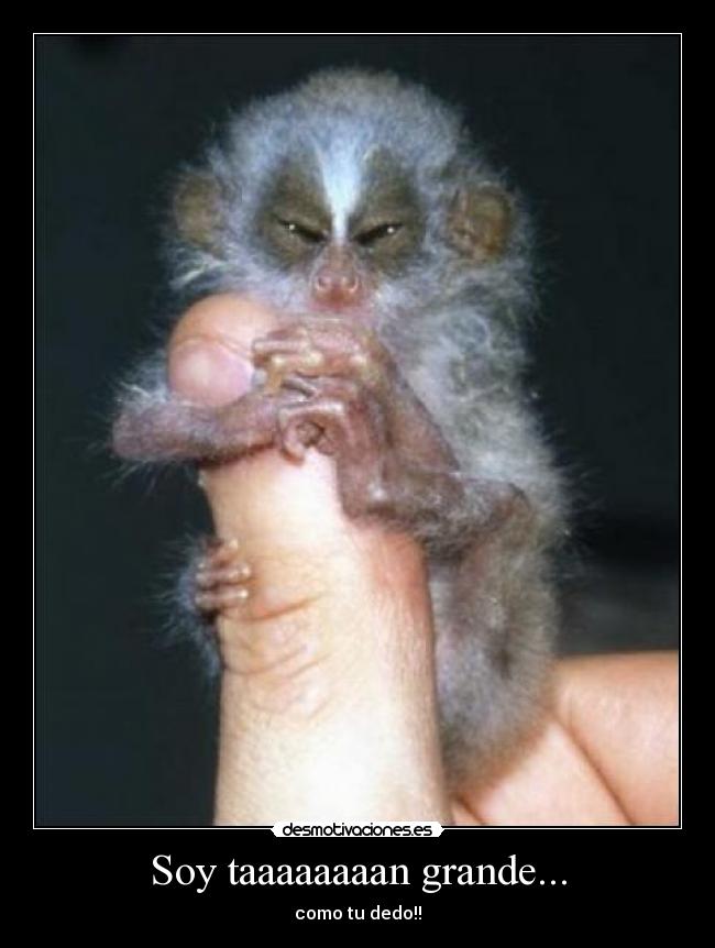 Soy taaaaaaaan grande... - como tu dedo!!