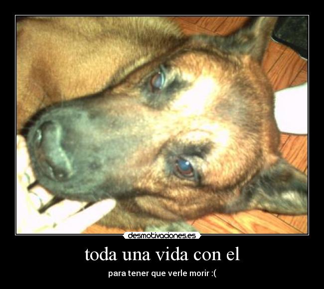 toda una vida con el - para tener que verle morir :(