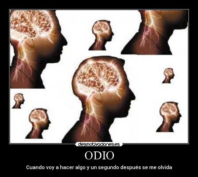 ODIO -