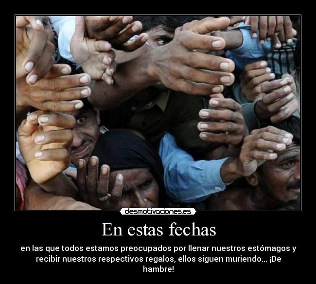 carteles siguen muriendo hambre nosotros engordando nuestras barrigas wolfri desmotivaciones